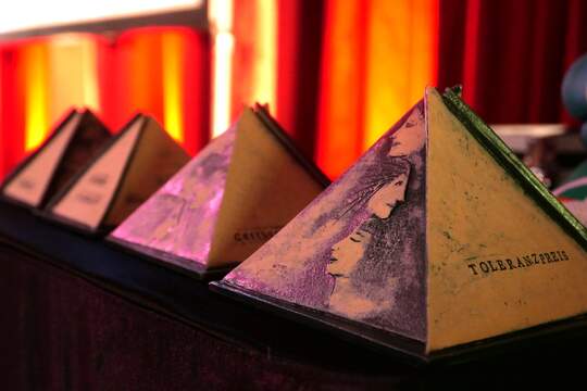 Cottbuser Toleranzpreis 2025 - die eingereichten Projekte